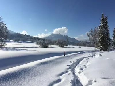 Fritzis Alpenidyll „Sommertraum & Winterromantik” im Winter