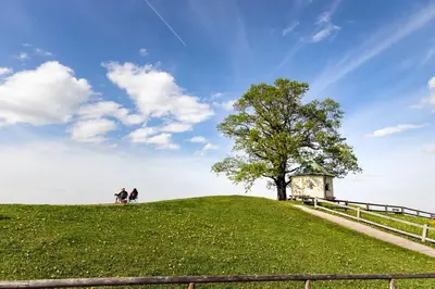 Naturlandschaft in der Nähe der Ferienwohnung