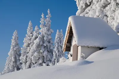 Wohnung Hochalm im Winter