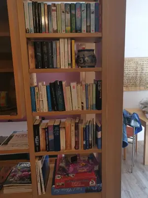 Die Bibliothek in der Ferienwohnung