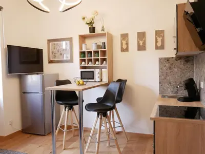 Küche/Küchenzeile in der Unterkunft 2 Zimmer Ferienwohnung „Schliersberg“