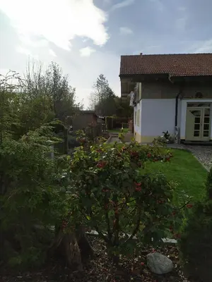 Ein Garten an der Unterkunft Ferienwohnung Ruhdichaus