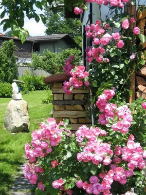 Ein Garten an der Unterkunft Ferienwohnung Heimbeck Kochel