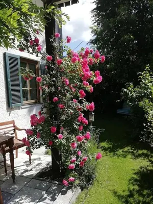 Ein Garten an der Unterkunft 'Sissi' ein zaubehaftes Apartement im modernen Landhausstil