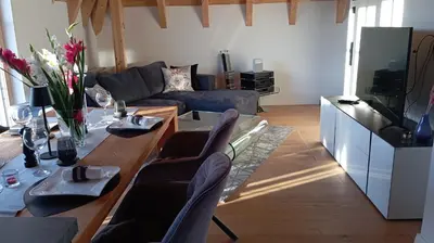 TV/Unterhaltungsangebot in der Unterkunft Villa Florentina