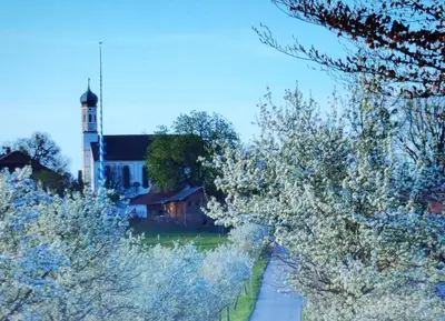 Ein Garten an der Unterkunft Schöne helle Ferienwohnung