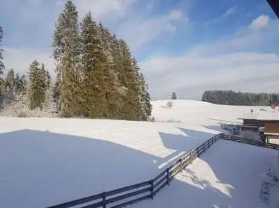 Casa Cubana - Schönes und komfortables Ferienhaus am Waldrand im Winter