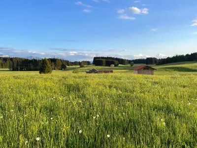 Naturlandschaft in der Nähe des Privatzimmers
