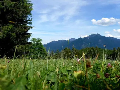 Naturlandschaft in der Nähe der Ferienwohnung