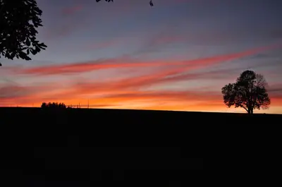 Blick auf den Sonnenuntergang/Sonnenaufgang von der Ferienwohnung aus oder aus der Nähe
