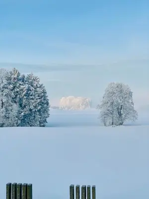 Ferienwohnung Ober im Winter
