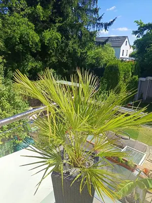 Ein Garten an der Unterkunft Welcome to Munich by Martina