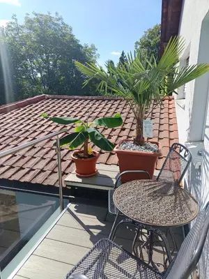 Ein Balkon oder eine Terrasse in der Unterkunft Welcome to Munich by Martina