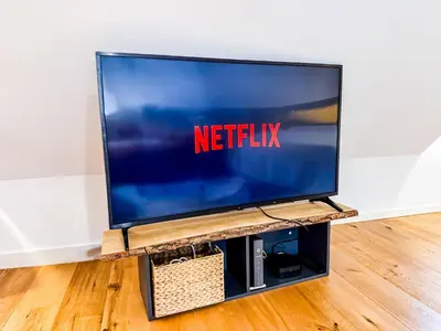 TV/Unterhaltungsangebot in der Unterkunft Downtown Hideaway - Urlaub deluxe in Landshut