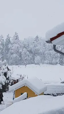 Ferienwohnung Moosegger im Winter