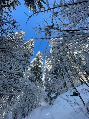 Ferienwohnung Moosegger im Winter