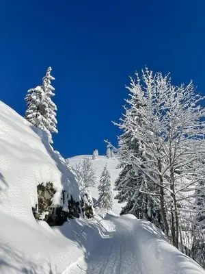 Ferienwohnung Moosegger im Winter