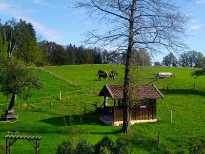 Naturlandschaft in der Nähe der Ferienwohnung