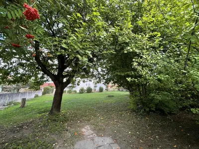 Ein Garten an der Unterkunft Kelsbachhaus OG