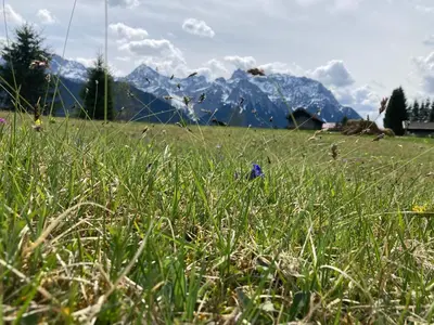 Naturlandschaft in der Nähe der Ferienwohnung