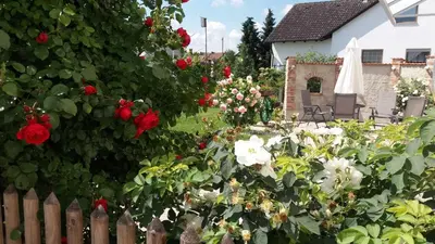 Ein Garten an der Unterkunft Weberhof