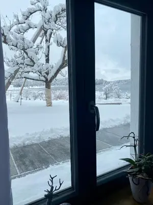 Seelodge im Winter
