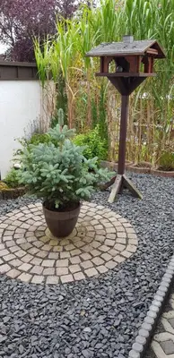 Ein Garten an der Unterkunft Apartment Curly