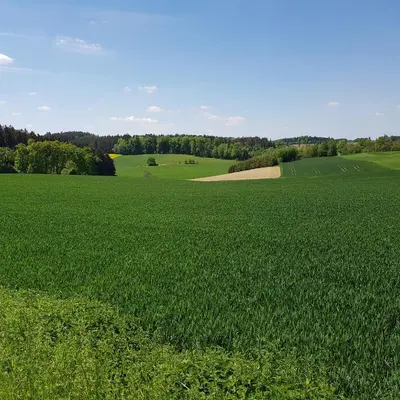 Naturlandschaft in der Nähe der Ferienwohnung