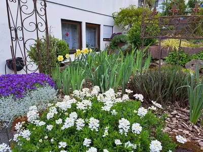 Ein Garten an der Unterkunft Apartment Curly