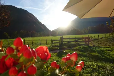 Naturlandschaft in der Nähe der Ferienwohnung