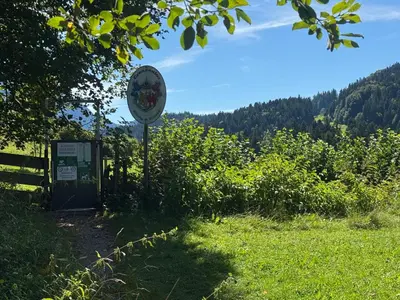 Naturlandschaft in der Nähe der Ferienwohnung