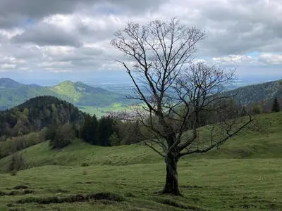 Naturlandschaft in der Nähe der Ferienwohnung