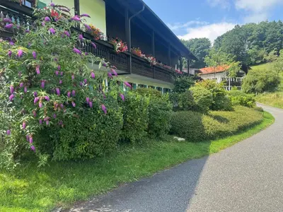 Naturlandschaft in der Nähe der Ferienwohnung