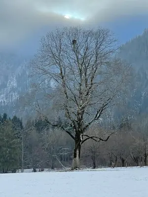 Naturlandschaft in der Nähe der Ferienwohnung