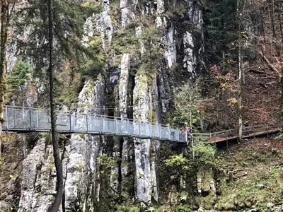 Naturlandschaft in der Nähe der Ferienwohnung
