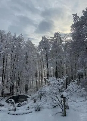 Studio Luise im Winter