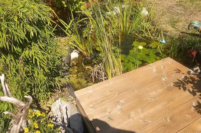 Ein Garten an der Unterkunft Sigrids Ferienwohnung Bad Tölz
