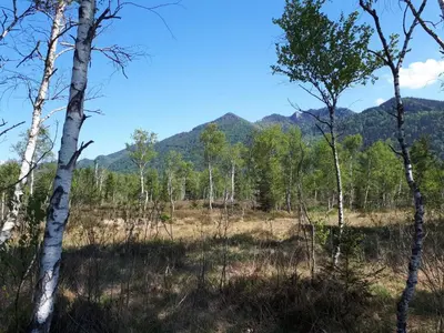 Naturlandschaft in der Nähe der Ferienwohnung