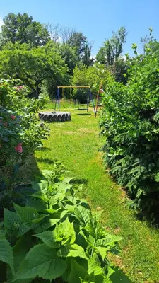 Ein Garten an der Unterkunft Ferienhaus am Ammersee in Bierdorf