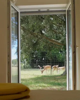 Tiere im Ferienhaus oder in der Nähe