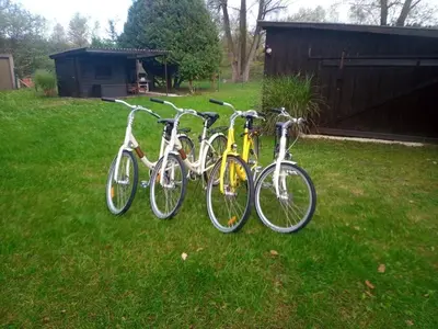 Radfahren an der Unterkunft Idylisches Cottage mit Reh oder in der Nähe